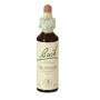 Flores de Bach Heather (Brezo) 20Ml. Bach