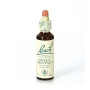Fiori di Bach Sweet Chestnut (Castagno Dolce) 20Ml. Bach
