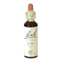 Flores de Bach Elm (Olmo) 20Ml. Bach