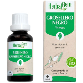 Estratto di ribes nero biologico 30 ml Herbal Gem