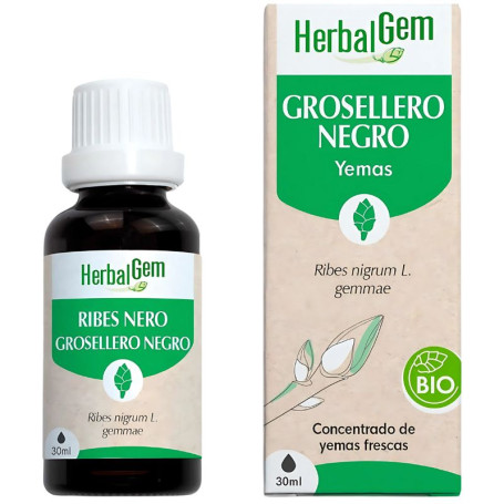 Estratto di ribes nero biologico 30 ml Herbal Gem