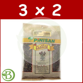 Pack 3x2 Ortosifón Té de Java Bolsa Pinisan