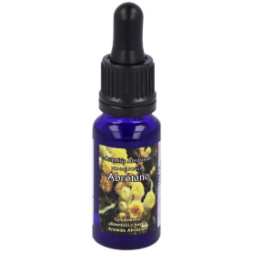 Abrotano Light Essence Triunity 15ml Phytovit