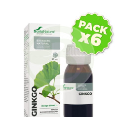 Confezione 6x Estratto di Ginkgo 50ml Soria Natural