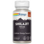 Super Shilajit 500Mg 60 capsule Solaray