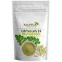 Moringa Capsule Eco 70Gr Salud Viva