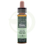 Elixir Floral 1 Agrimonia 10Ml. Plantis