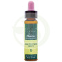 Elisir Floreale 5 Ceratostigma 10Ml. Plantis