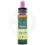Elixir Floral 6 Cerasifera 10Ml. Plantis