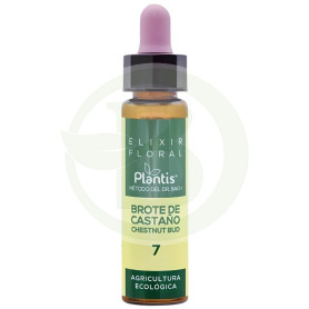 Elixir Floral 7 Chestnut Bud 10Ml. Plantis