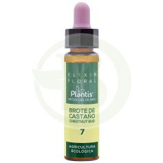 Elixir Floral 7 Chestnut Bud 10Ml. Plantis