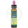 Elixir Floral 8 Chicory 10Ml. Plantis