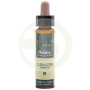 Elisir Floreale 9 Clematis 10Ml. Plantis