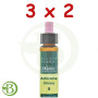 Pack 3x2 Elixir Floral 8 Chicory 10Ml. Plantis
