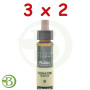 Pack 3x2 Elixir Floral 9 Clematis 10Ml. Plantis