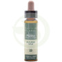 Elisir Floreale 13 Gorse 10Ml. Plantis