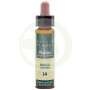 Elisir Floreale 14 Heather 10Ml. Plantis