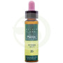 Elixir Floral 15 Holly 10Ml. Plantis