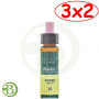 Pack 3x2 Elixir Floral 15 Holly 10Ml. Plantis