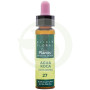 ELIXIR FLORAL 27 ACQUA DI ROCCIA 10Ml. PLANTIS