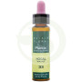 Elixir Floral 33 Noce 10Ml. Plantis