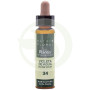 Elixir Floral 34 Violetta d'Acqua 10Ml. Plantis
