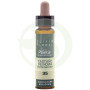 Elixir Floral 35 Castagno d'India 10Ml. Plantis