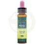Elixir Floral 38 Salice 10Ml. Plantis