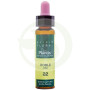 Elixir Floral 22 Rovere 10ml Plantis