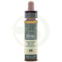 Elixir Floreale 25 Castagno Rosso 10ml Plantis