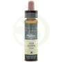 Elixir Floral 36 Avena Selvatica 10ml Plantis