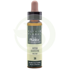 Elixir Floral 36 Avena Sil 10Ml. Plantis