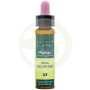 Elixir Floral 37 Rosa Selvatica 10ml Plantis