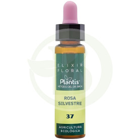Elixir Floral 37 Rosa Selvatica 10ml Plantis