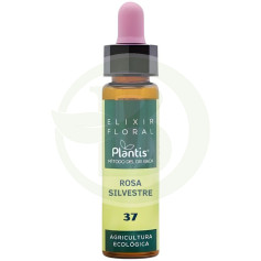Elixir Floral 37 Rosa Selvatica 10ml Plantis