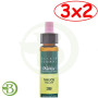 Pack 3x2 Elixir Floral 38 Sauce 10Ml. Plantis