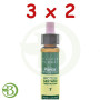 Pack 3x2 Elixir Floral 7 Chestnut Bud 10Ml. Plantis