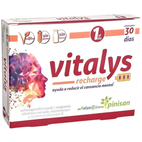 Vitalys Recharge 30 Capsule Pinisan