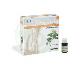 Plantaggio HB 20 Fiale Derbos