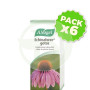 Pack 6x Echinaforce Gotas Vogel 50Ml.