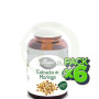 Pack 6x Extracto Moringa 60 Cápsulas El Granero