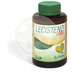 Leggi 90 perle Derbos
