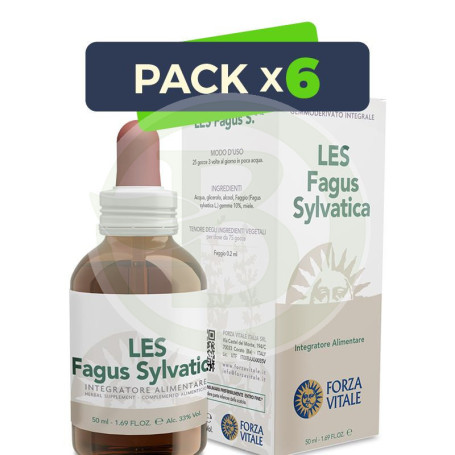 Pack 6x Les Fagus Sylvatica (Haya) 50Ml. Forza Vitale