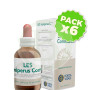 Pack 6x Les Juniperus Communis (Enebro) 50Ml. Forza Vitale