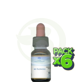 Pack 6x My Flowers Forza Vitale