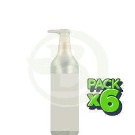 Pack 6x Champú Tomillo 1Lt. Kunda Plus