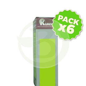Pack 6x Champú Menta Piperita 250Ml. Kunda