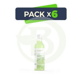 Pack 6x Gel Baño Aloe Vera 500 Ml Ebers