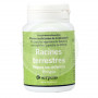 Racines Terrestres Tabebuia Adenophilla 90 Capsule 300Mg. Serpens
