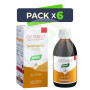 Pack 6x Db-Quema Reduexpress Jarabe 240Ml. Santiveri